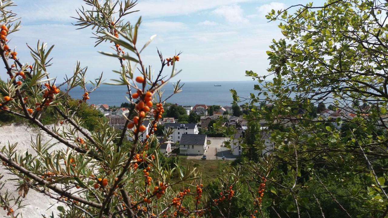 Wellenreiter * Sassnitz
